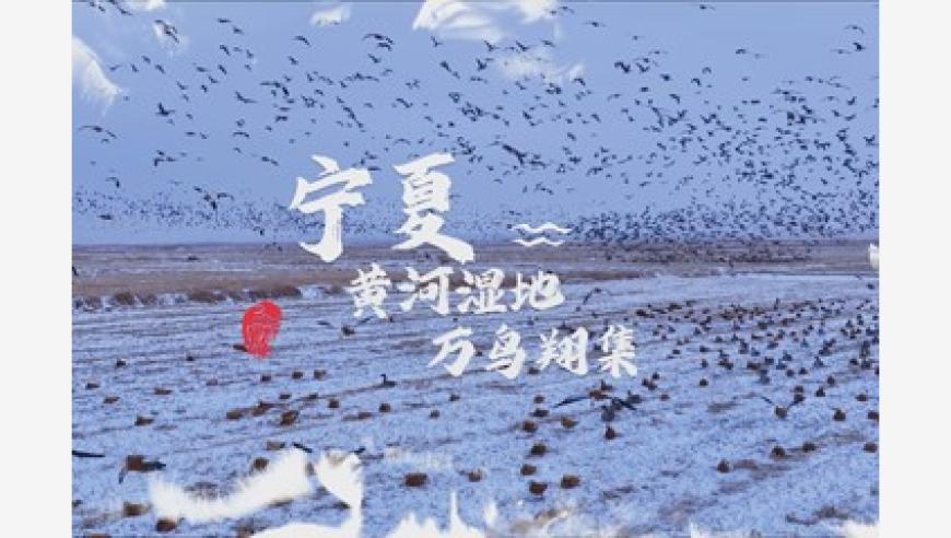 彩霸王·论坛高手论坛独家资料,跨越半个世纪的中国情谊,最新热门解答落实_粉丝版V1.66