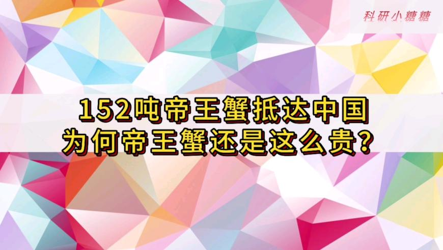 票价不到100块 年轻人沉迷地下偶像,2025香港资料正版大全免费,社会责任方案执行_轻量版V7.2