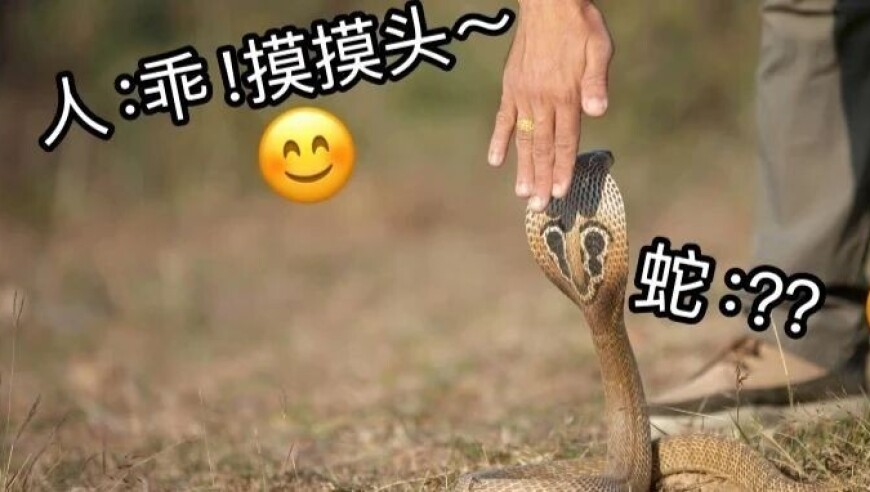 马会专真澳门,AI三小时做的游戏9天赚12万,确保成语解释落实的问题_体验版V6.23